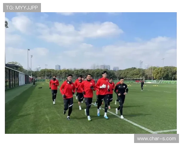 上海海港薪资结构分析：本土球员与外援薪酬分布走势清晰